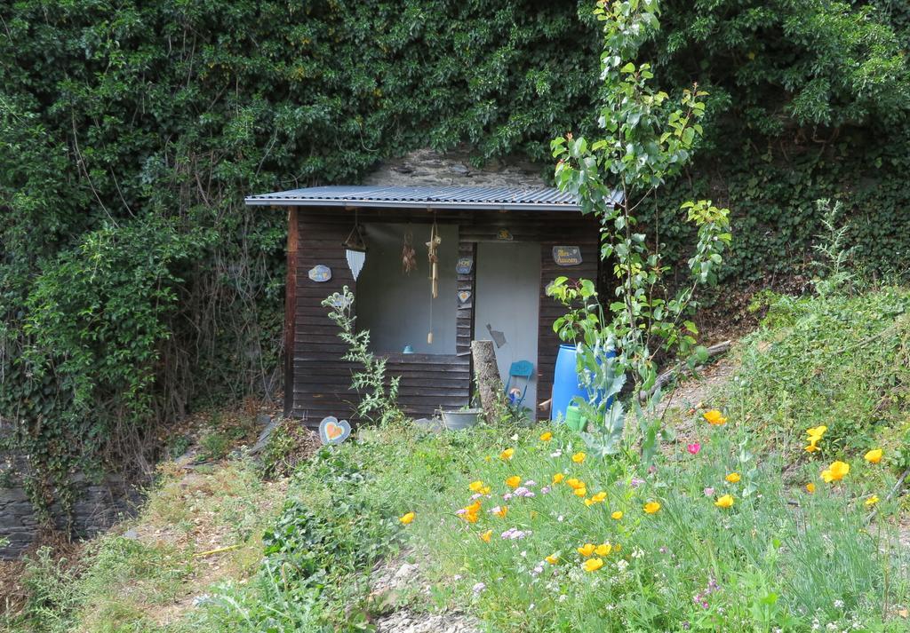 Ferienhaus Mauseloch Kaub Ngoại thất bức ảnh